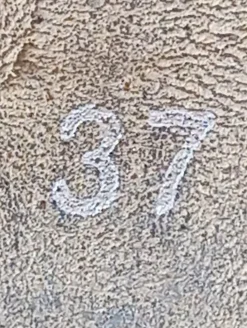 Kurzstiefel Größe 37