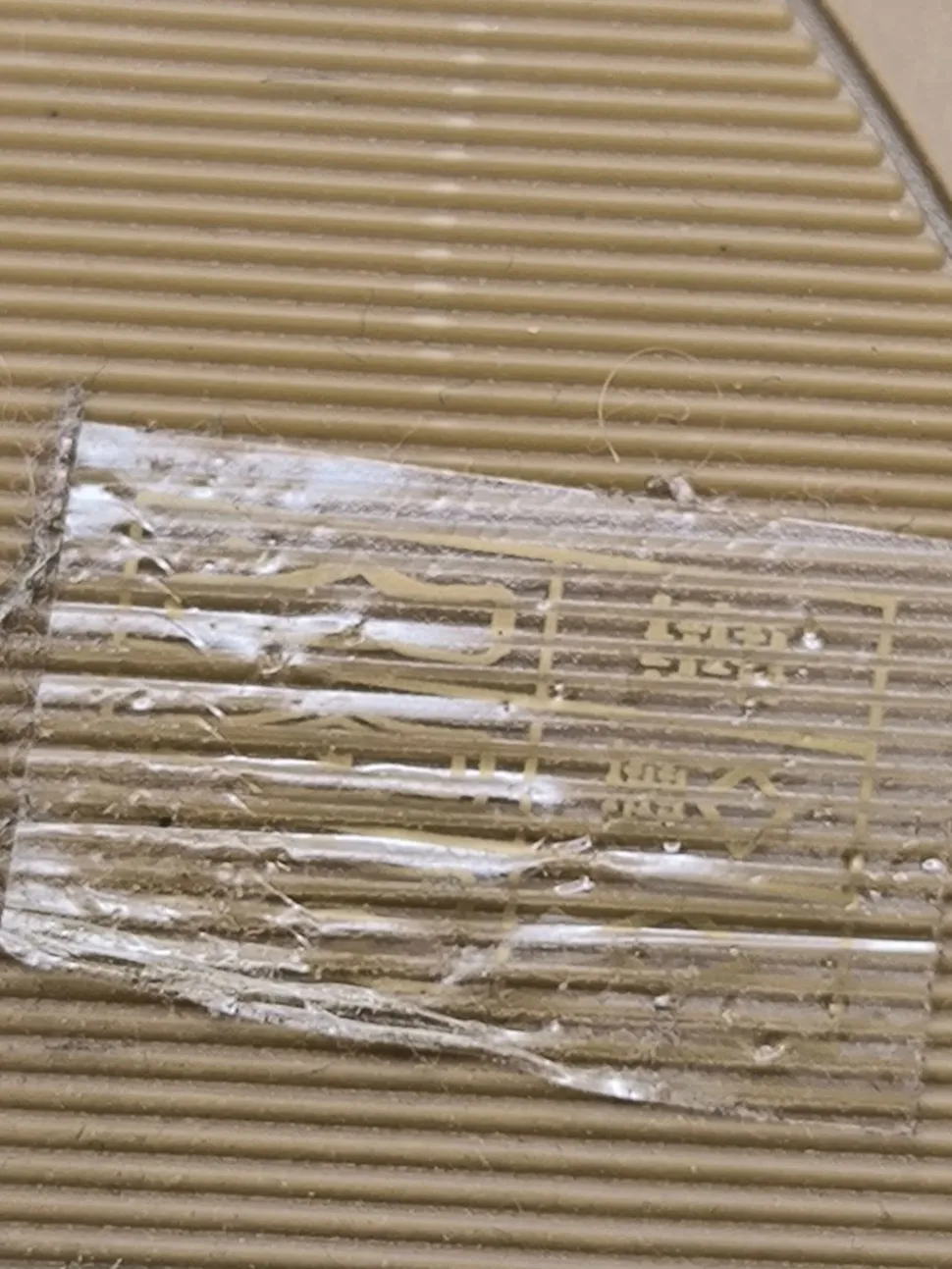 Peeptoe Pumps Größe 40