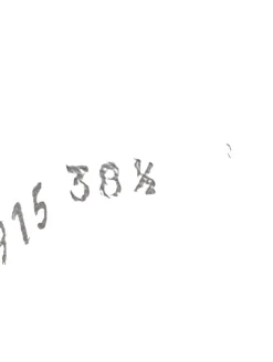 Schnürsneaker Größe 38,5