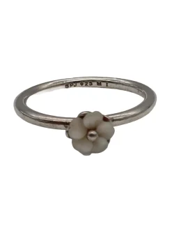 Silberring Größe 55